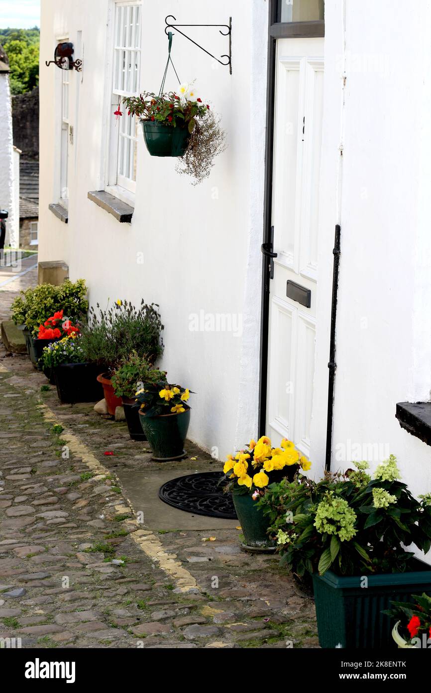 Weißes Haus in Richmond mit einer farbenfrohen Blumenausstellung, North Yorkshire Stockfoto