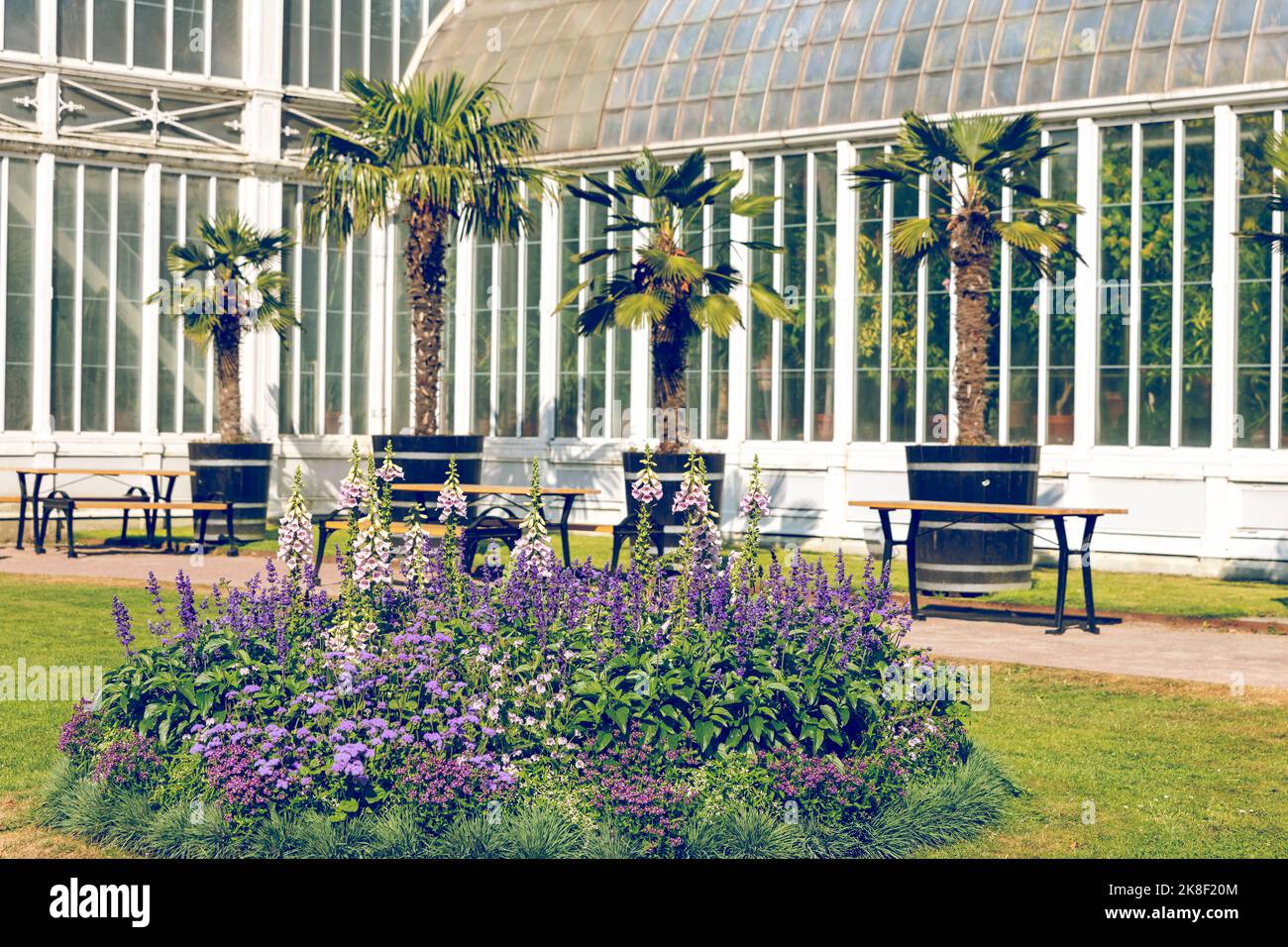 Glashaus. Das öffentliche Palmenhaus, Gartengesellschaft in Göteborg, Schweden. Stockfoto