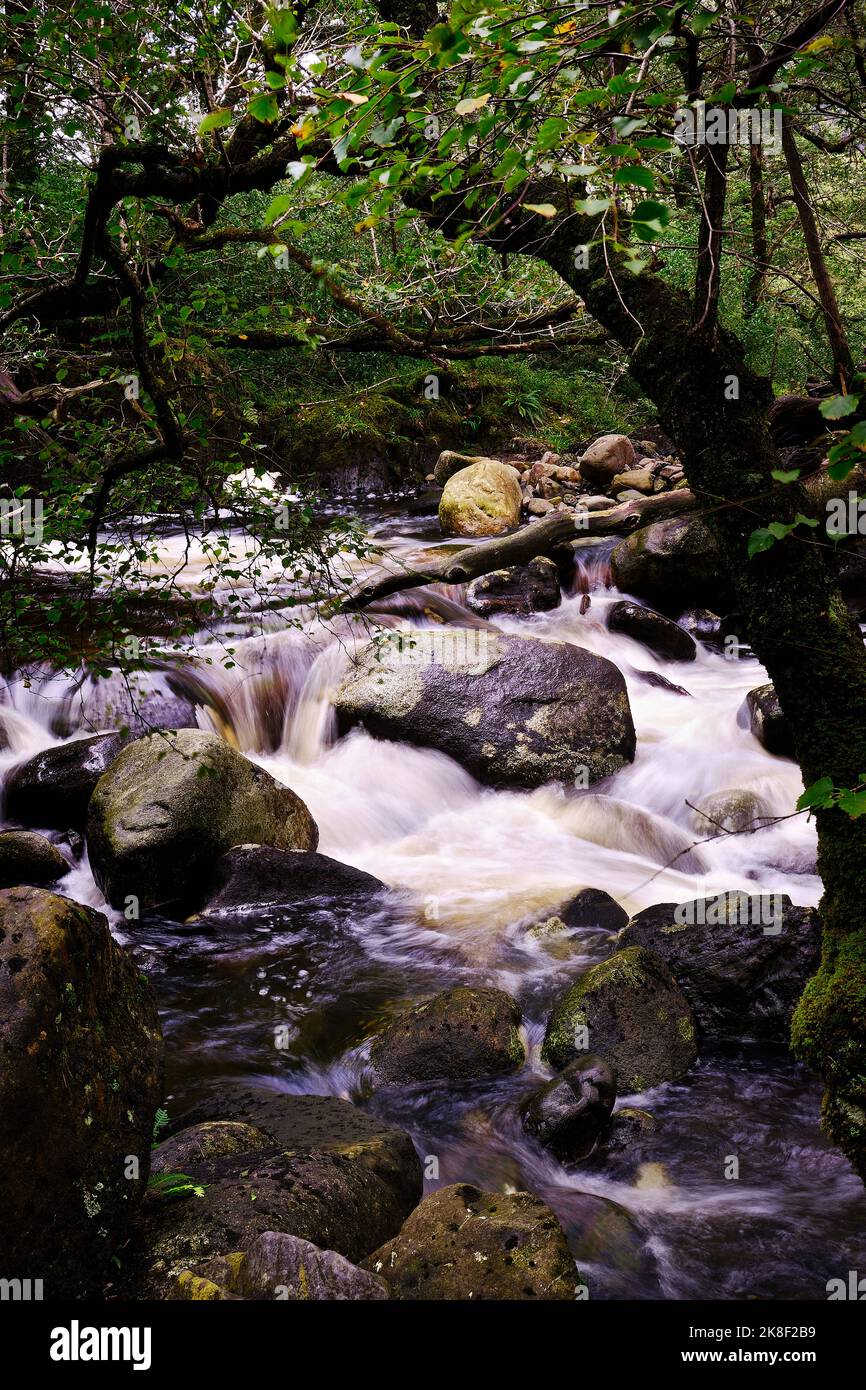 Glentrool National Park, Dumfries und Galloway, Schottland, Wasserwege und Wasserfälle Stockfoto
