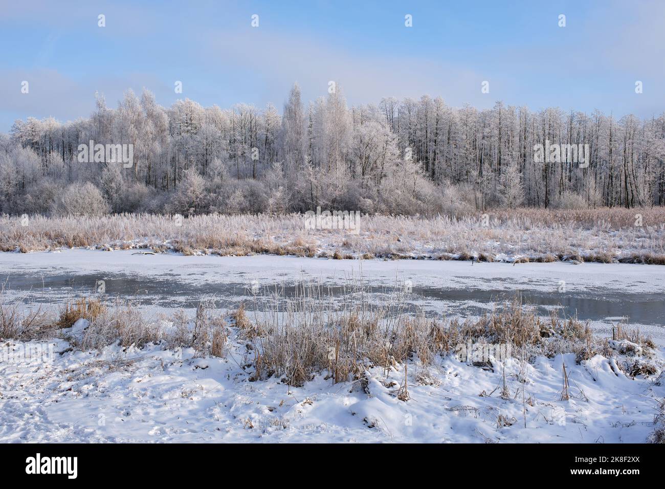 Schöne verschneite Winterlandschaft des Waldflusses verschneite Winterlandschaft Stockfoto