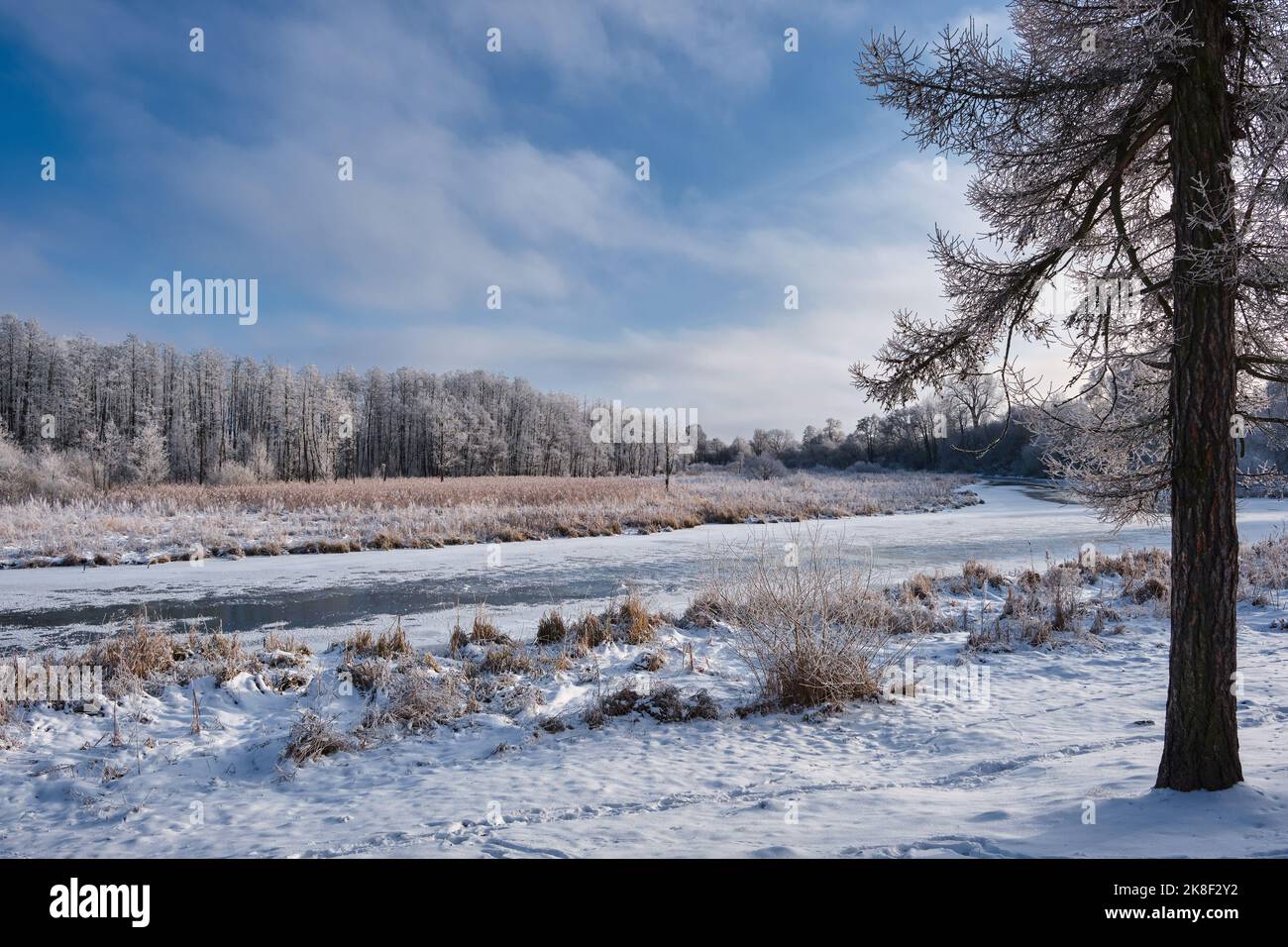 Schöne verschneite Winterlandschaft des Waldflusses verschneite Winterlandschaft Stockfoto