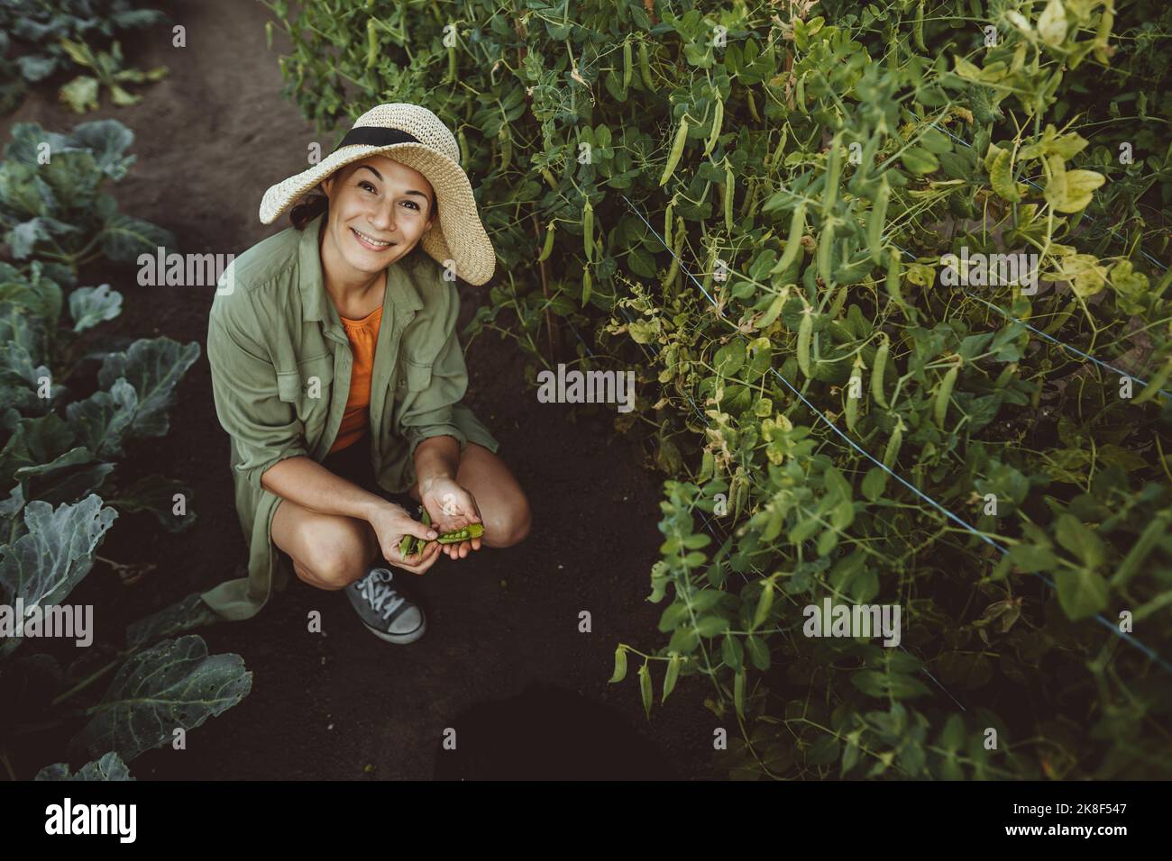 Lächelnde Frau mit Erbsenschoten inmitten grüner Pflanzen im Garten Stockfoto