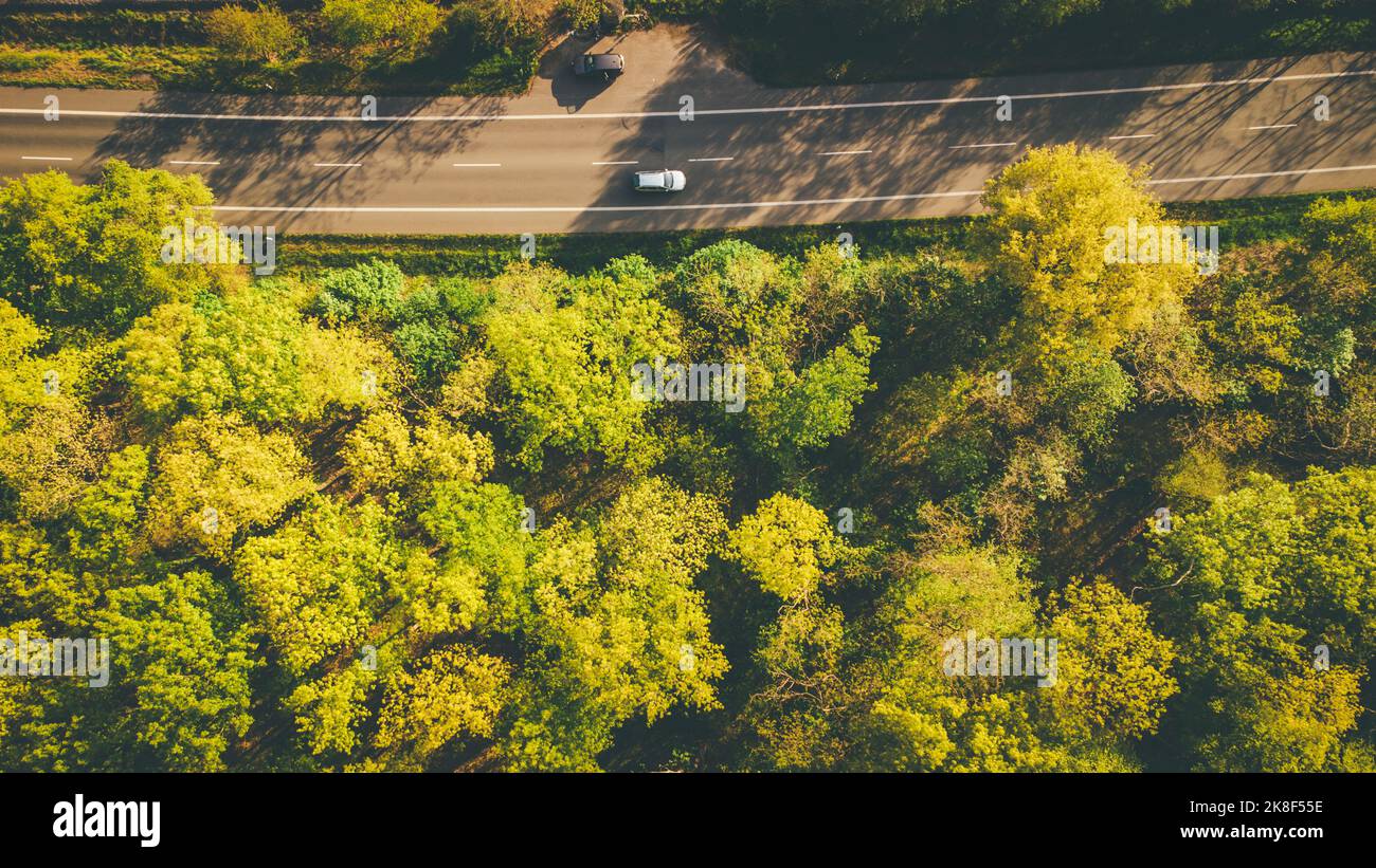 Autos auf der Autobahn inmitten grüner Bäume Stockfoto