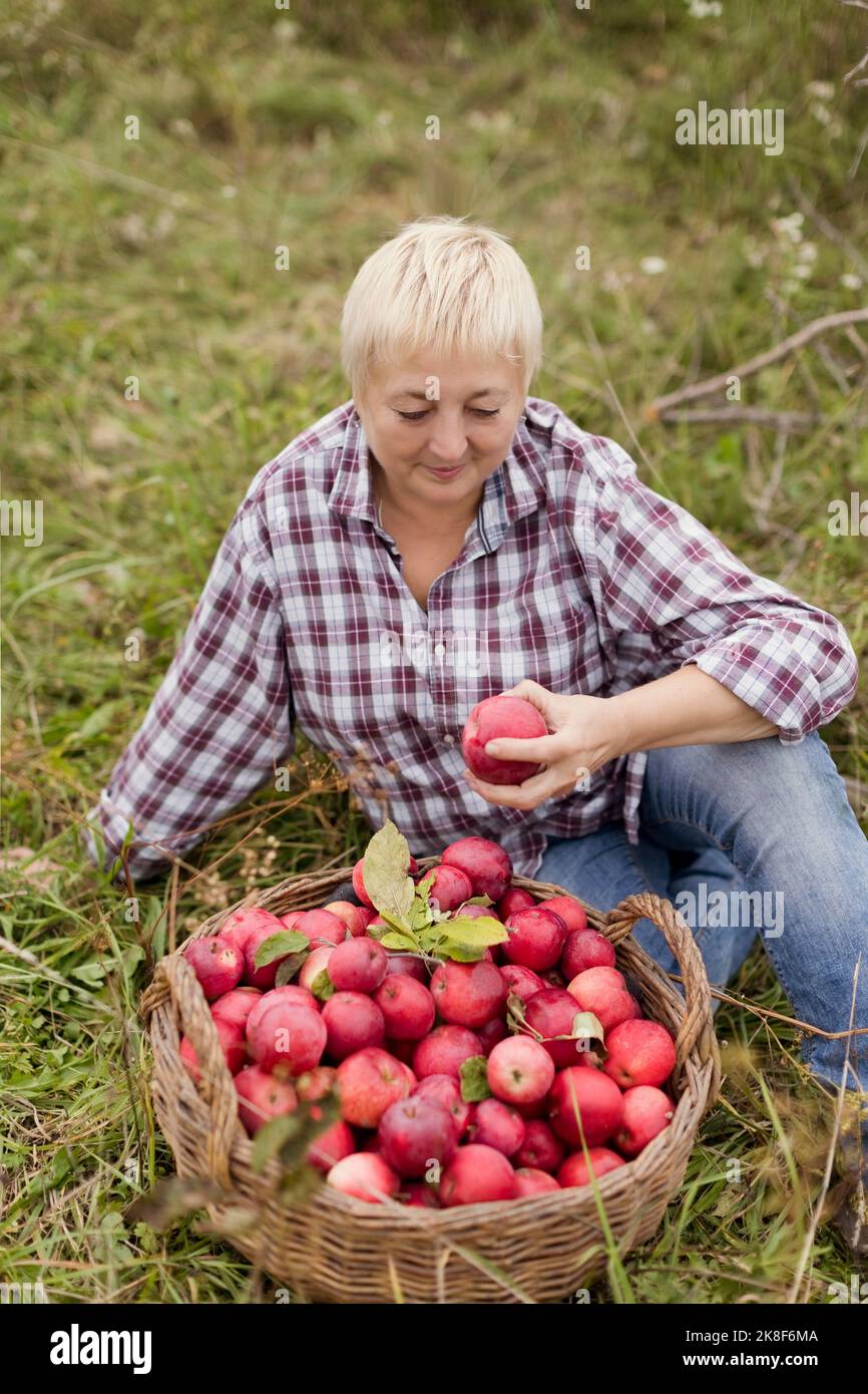 Reife Frau mit Korb von Äpfeln auf dem Gras auf dem Bauernhof sitzen Stockfoto