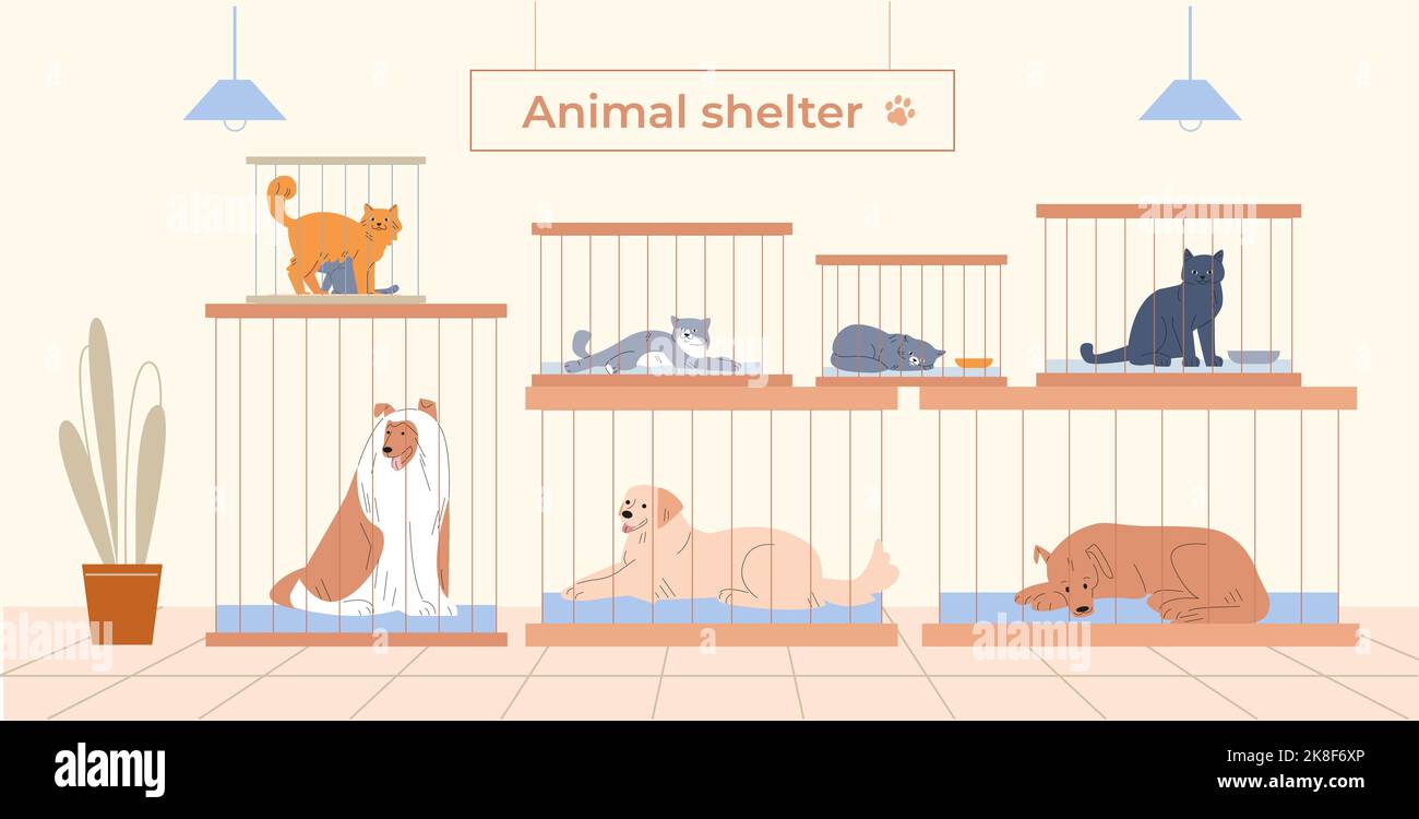 Tierheim mit Haustieren in Käfigen. Cartoon Hunde und Katzen geschützt. Lustige flauschige Kätzchen, Hund schlafen. Freiwilligenarbeit und Adoption kicky Vektor-Konzept Stock Vektor