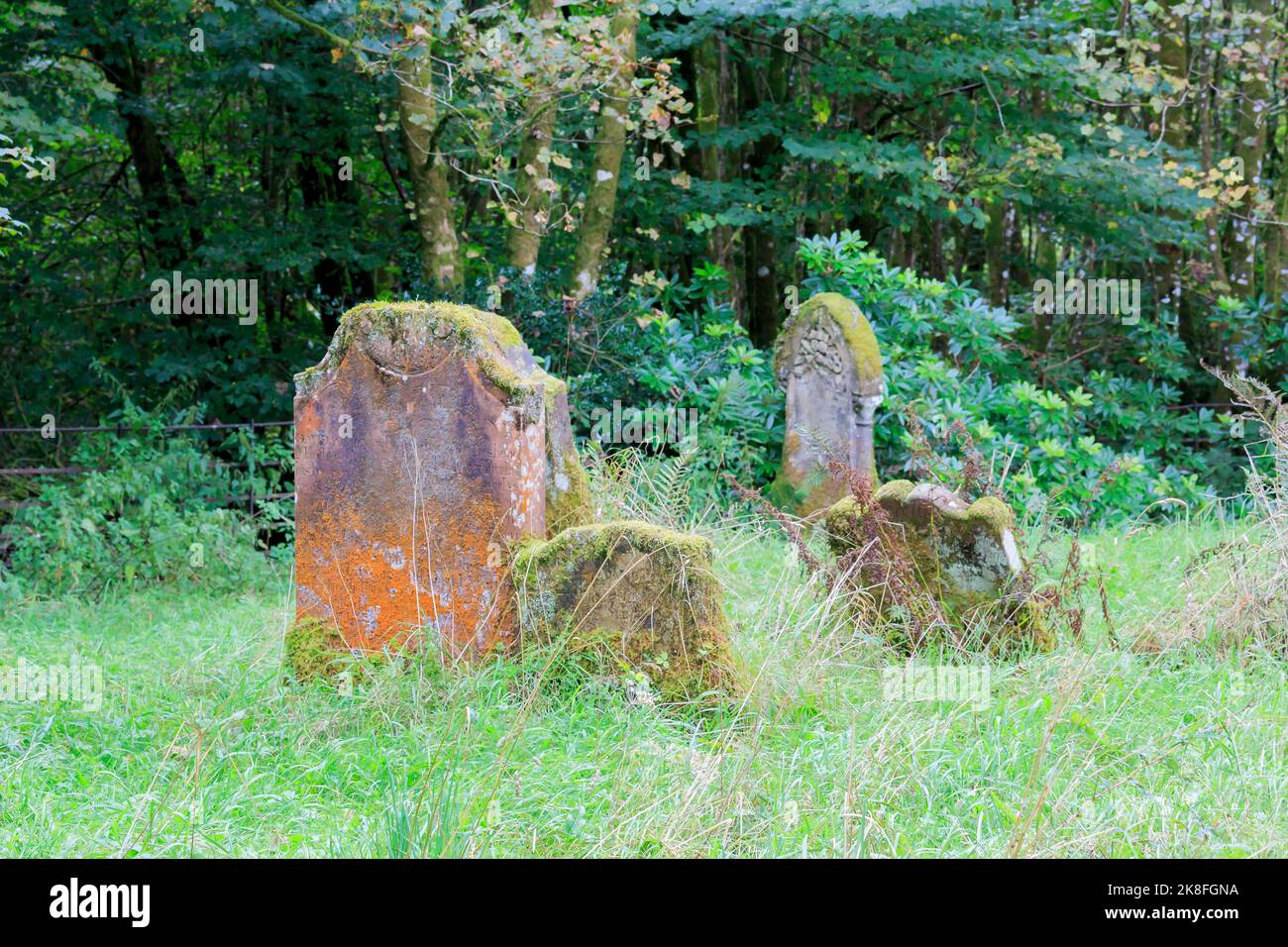 Kleine Gruppe sehr alter Grabsteine, die mit Moos bedeckt sind, auf einem alten Friedhof Stockfoto