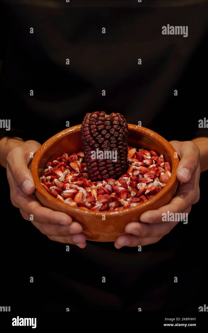 Hände einer Person, die eine Schüssel mit roten mexikanischen Maiskörnern hält Stockfoto