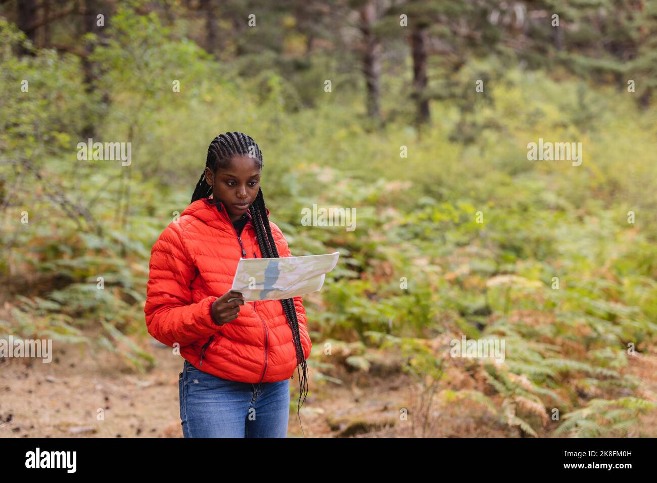 Junge Frau mit geflochtenen Haaren, die Karte im Wald liest Stockfoto