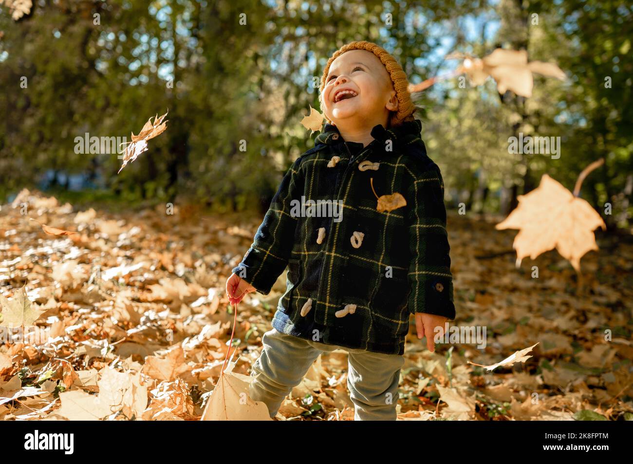Junge hält Ahornblatt lachend im Park Stockfoto