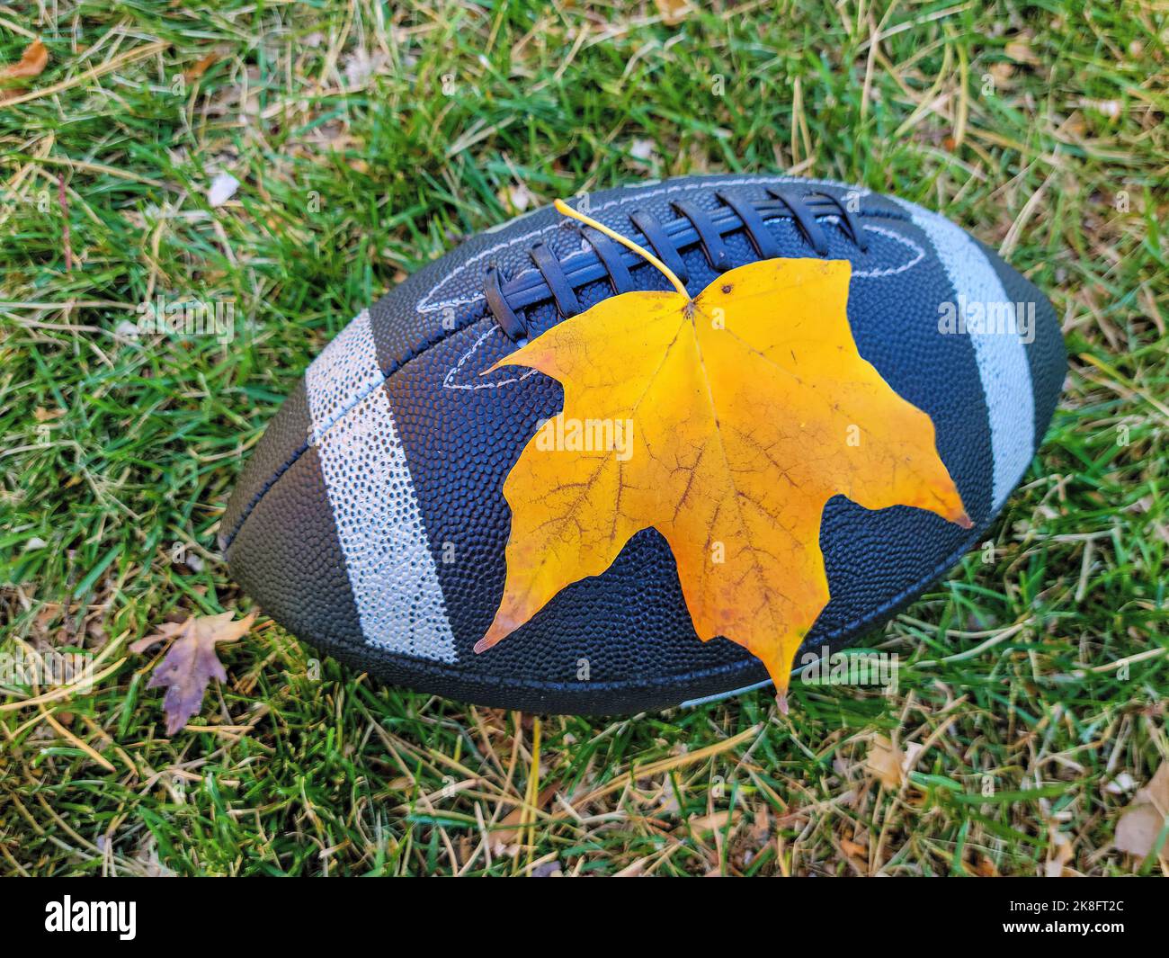 Schwarzer Fußball mit gelbem Herbstahornblatt auf Gras Stockfoto