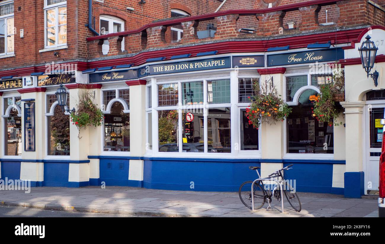 Blick auf den Red Lion and Pineapple Pub in Ealing, London. Stockfoto