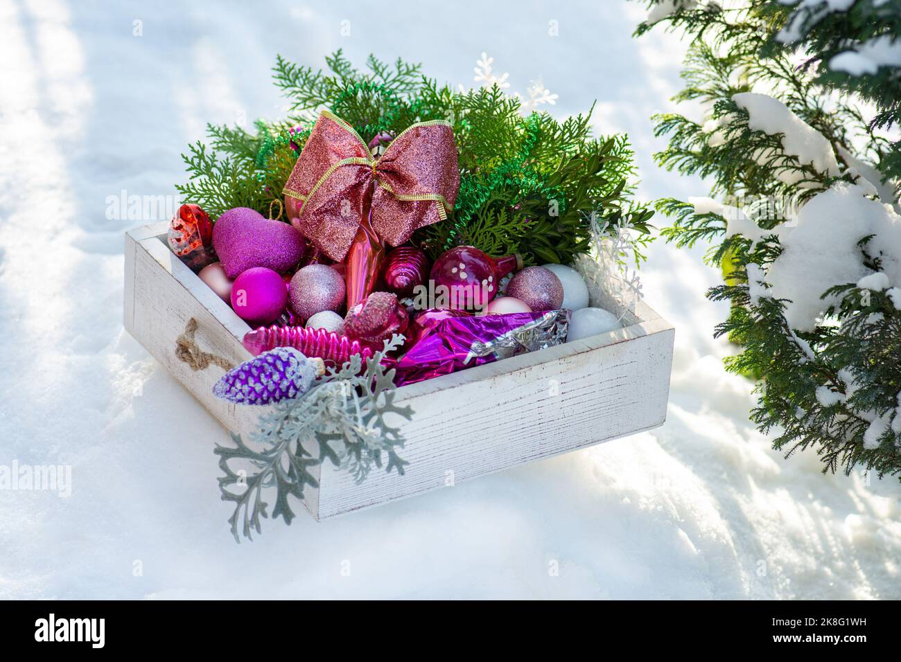 Echter Winter im Garten an einem sonnigen Tag und Kopierplatz. Festliches Stimmungsbild für Postkarte oder Weihnachtskonzept. Stockfoto