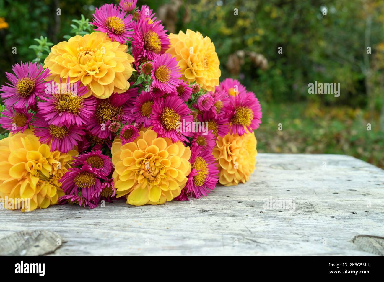 Ein Strauß Herbstblumen mit gelben Dahlien und rosa Astern liegt auf einem Holztisch Stockfoto