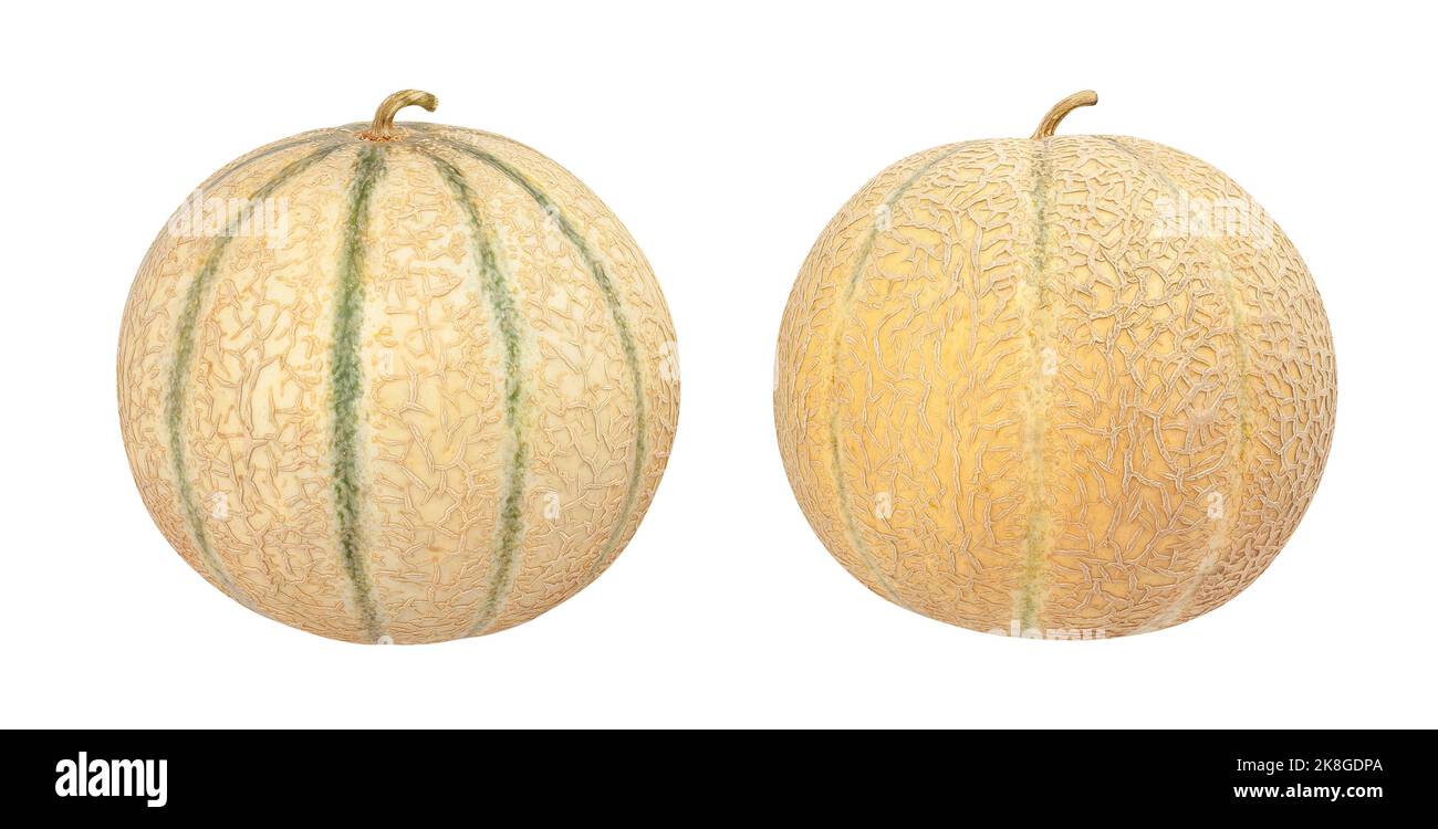 Melonenweg von Cantaloupe isoliert auf weiß Stockfoto
