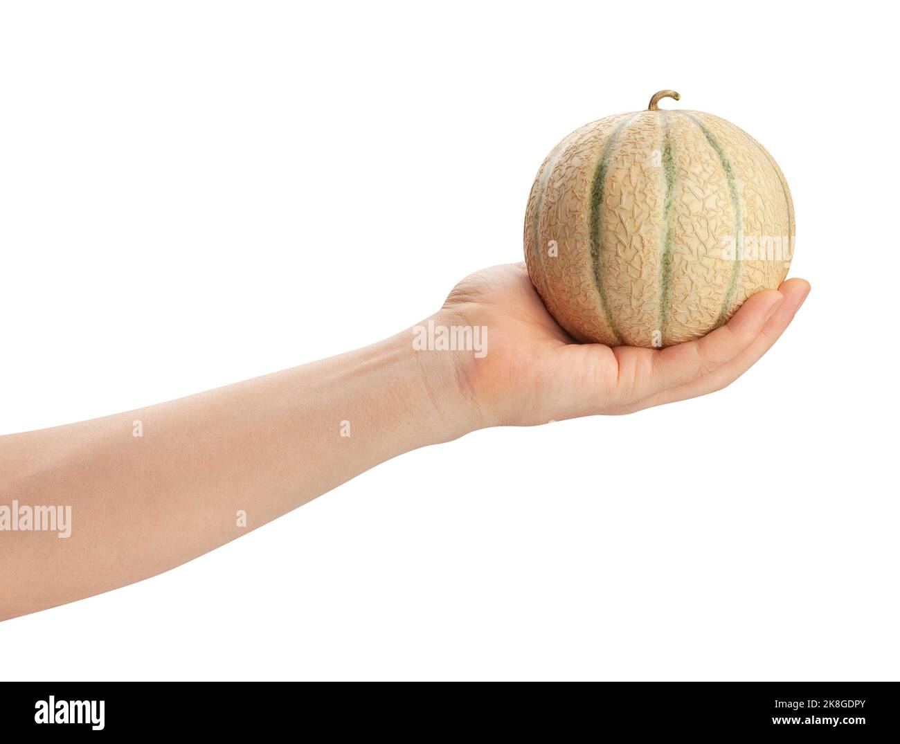 Melone im Handweg isoliert auf weiß Stockfoto