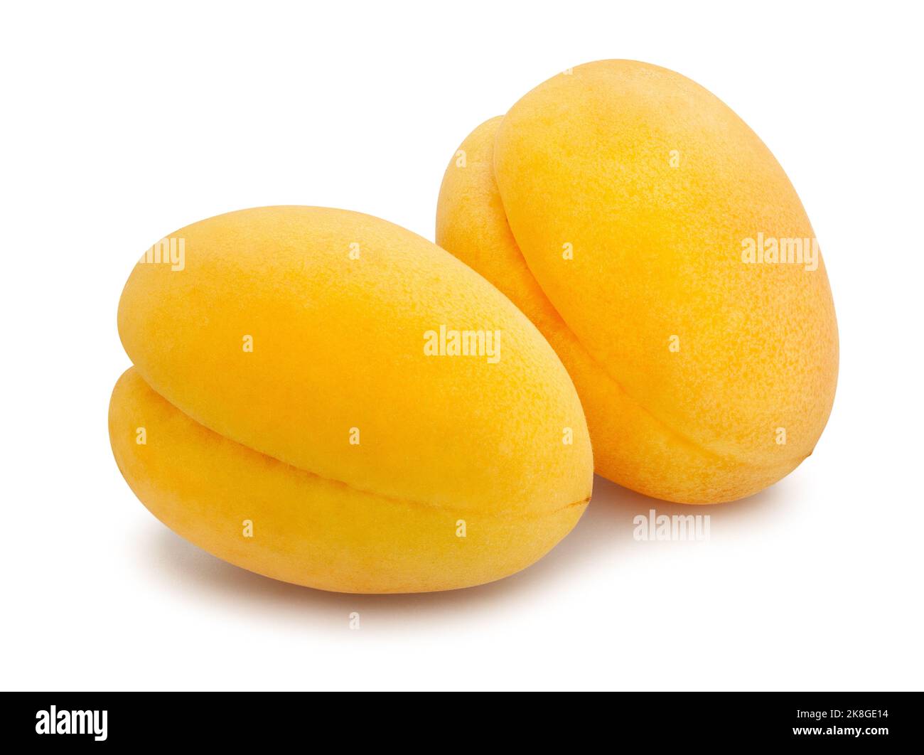 Aprikose Pfad isoliert auf weißem Stockfoto