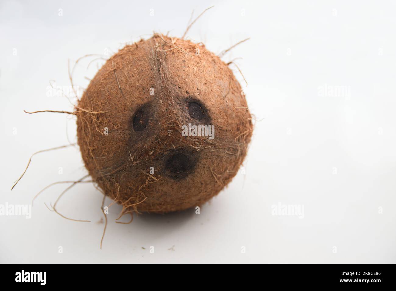 Eine braune Kokosnuss mit Kokosnussaugen, die isoliert auf einem weißen Hintergrund auf die Kamera schauen Stockfoto