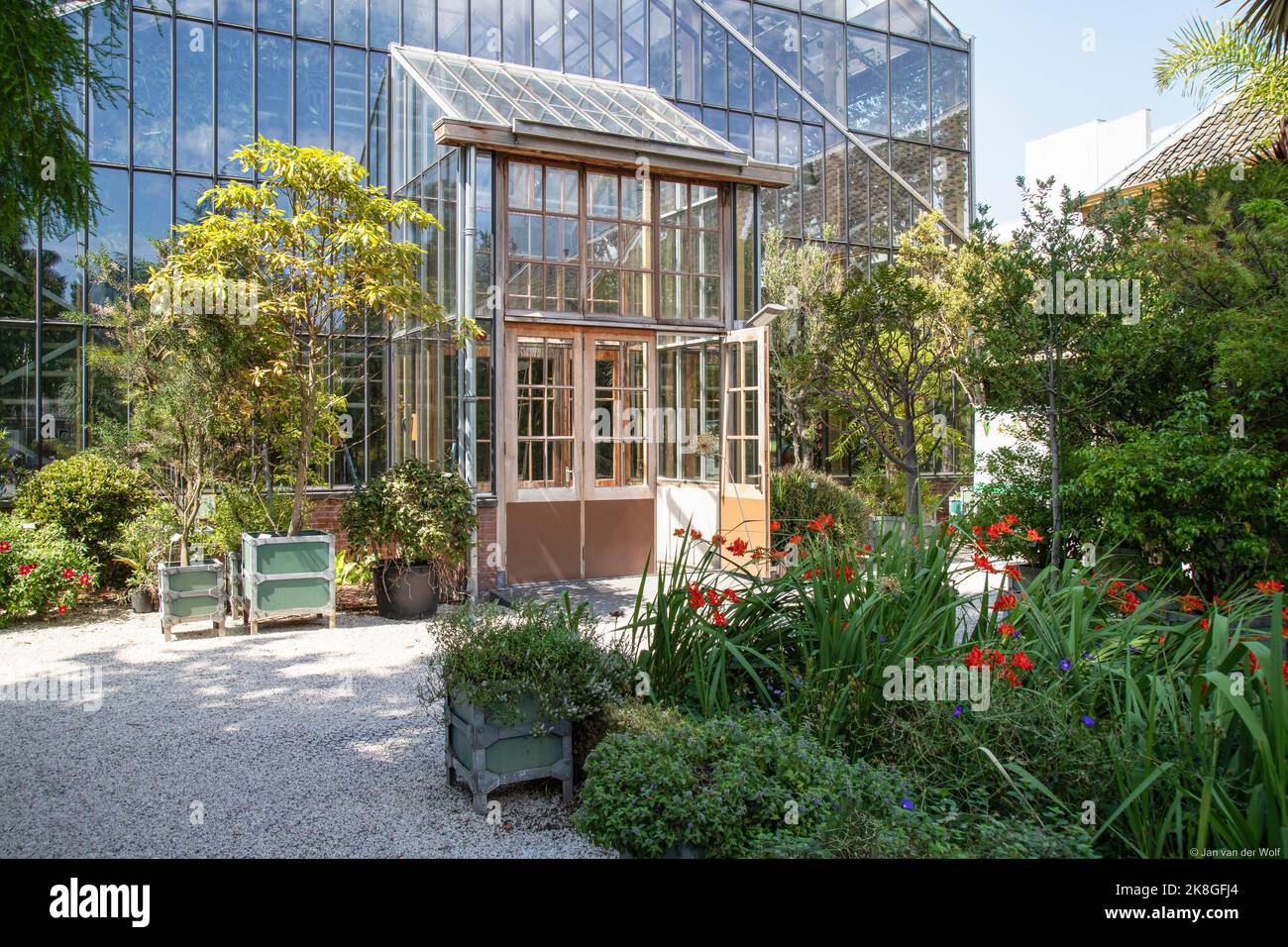 Gewächshaus des Hortus botanicus in Leiden. Es ist der älteste