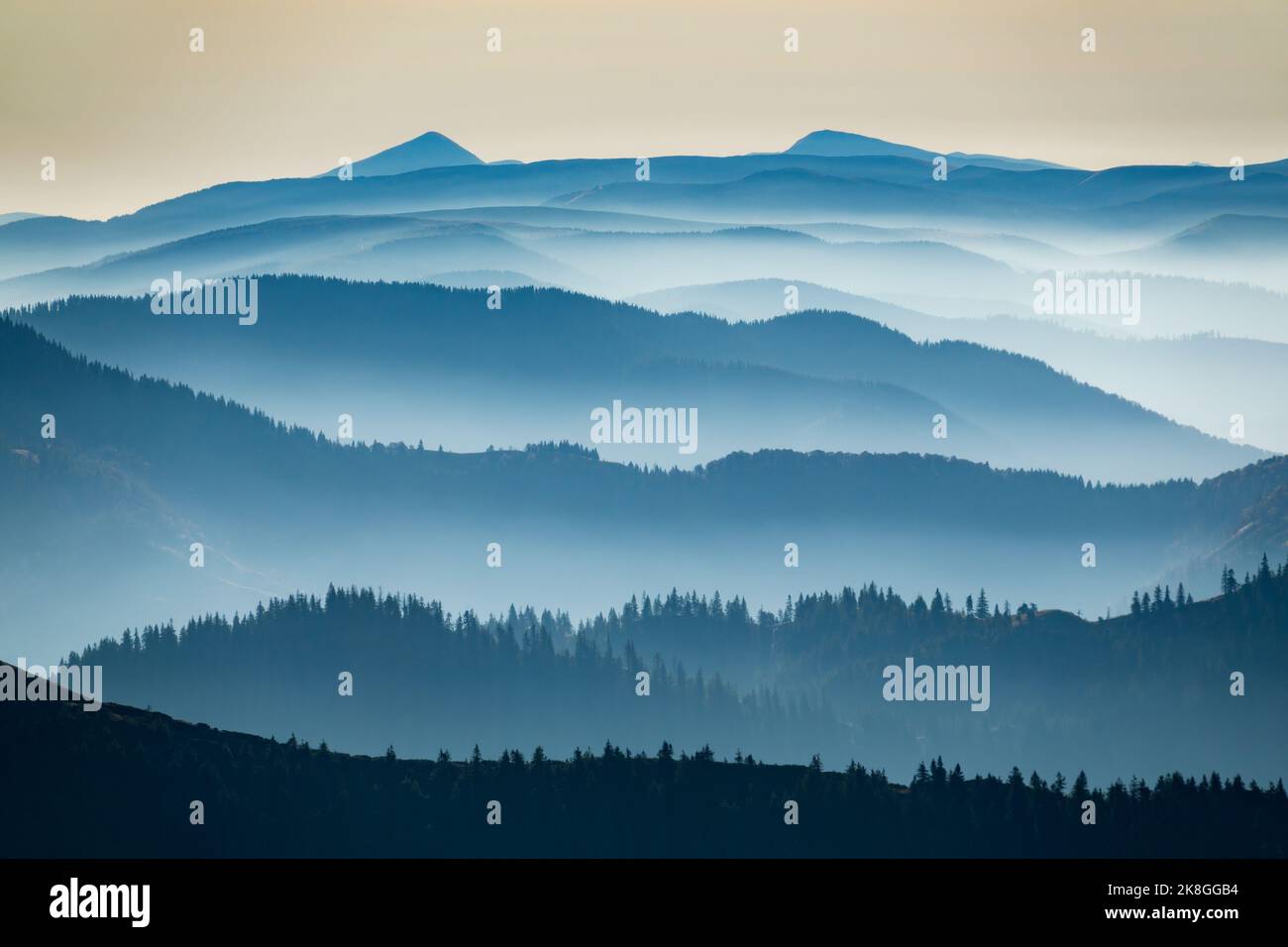 Neblige Bergrücken am Morgen. Künstlerisches Foto der Karpaten, Ukraine. Tolle Aussicht auf die Berge Hoverla und Petros Stockfoto