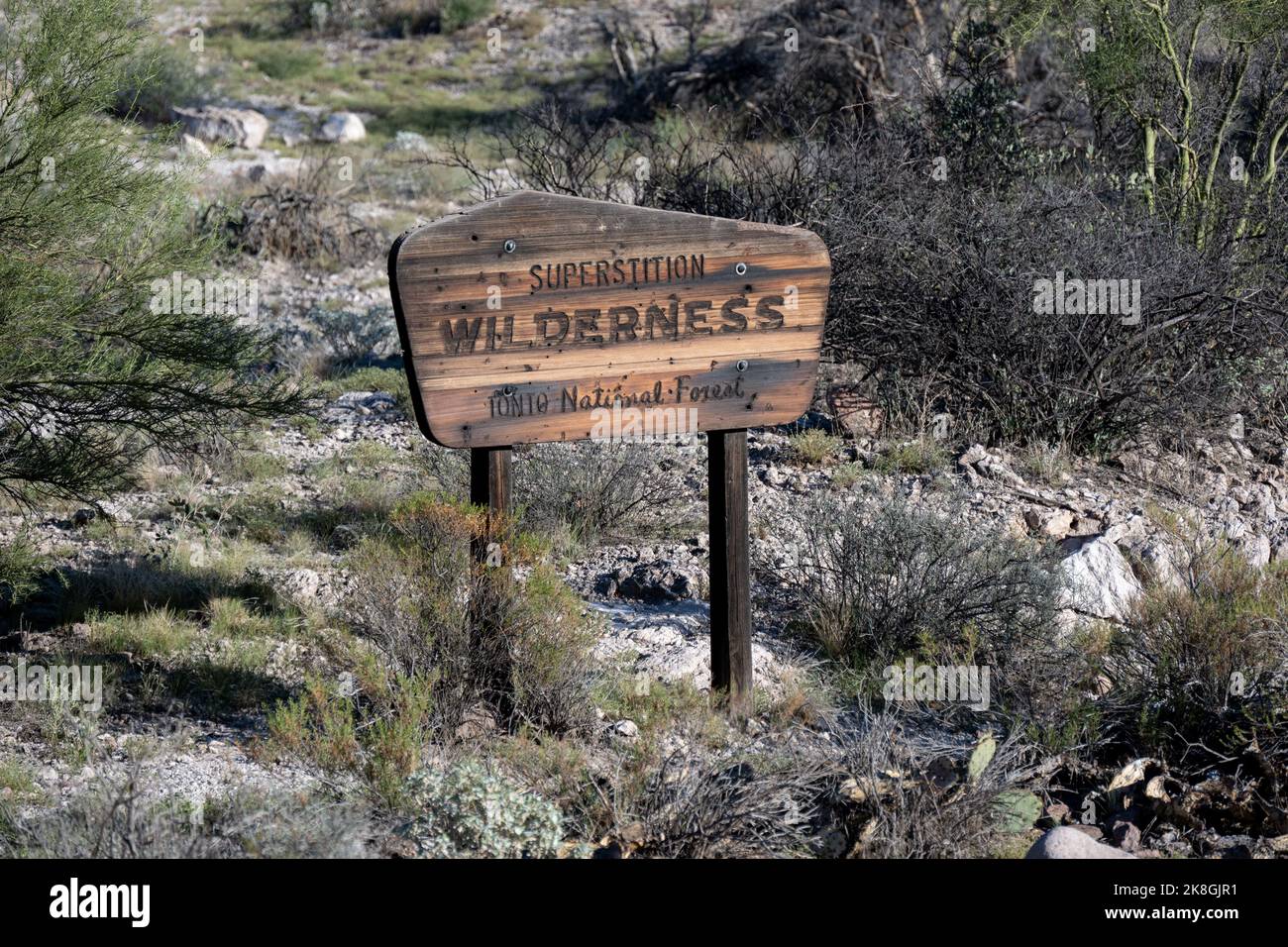 Ein verbranntes Holzschild für die Superstition Wilderness im Tonto National Forest Stockfoto