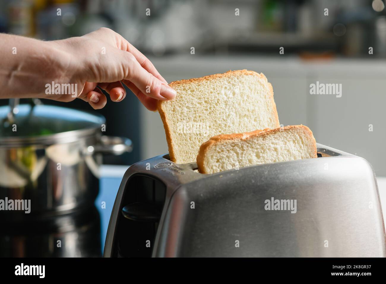 Kochen Sie frischen Toast in einem modernen Toaster auf dem Hintergrund der Küche. Weibliche Hand hält Brot. Stockfoto