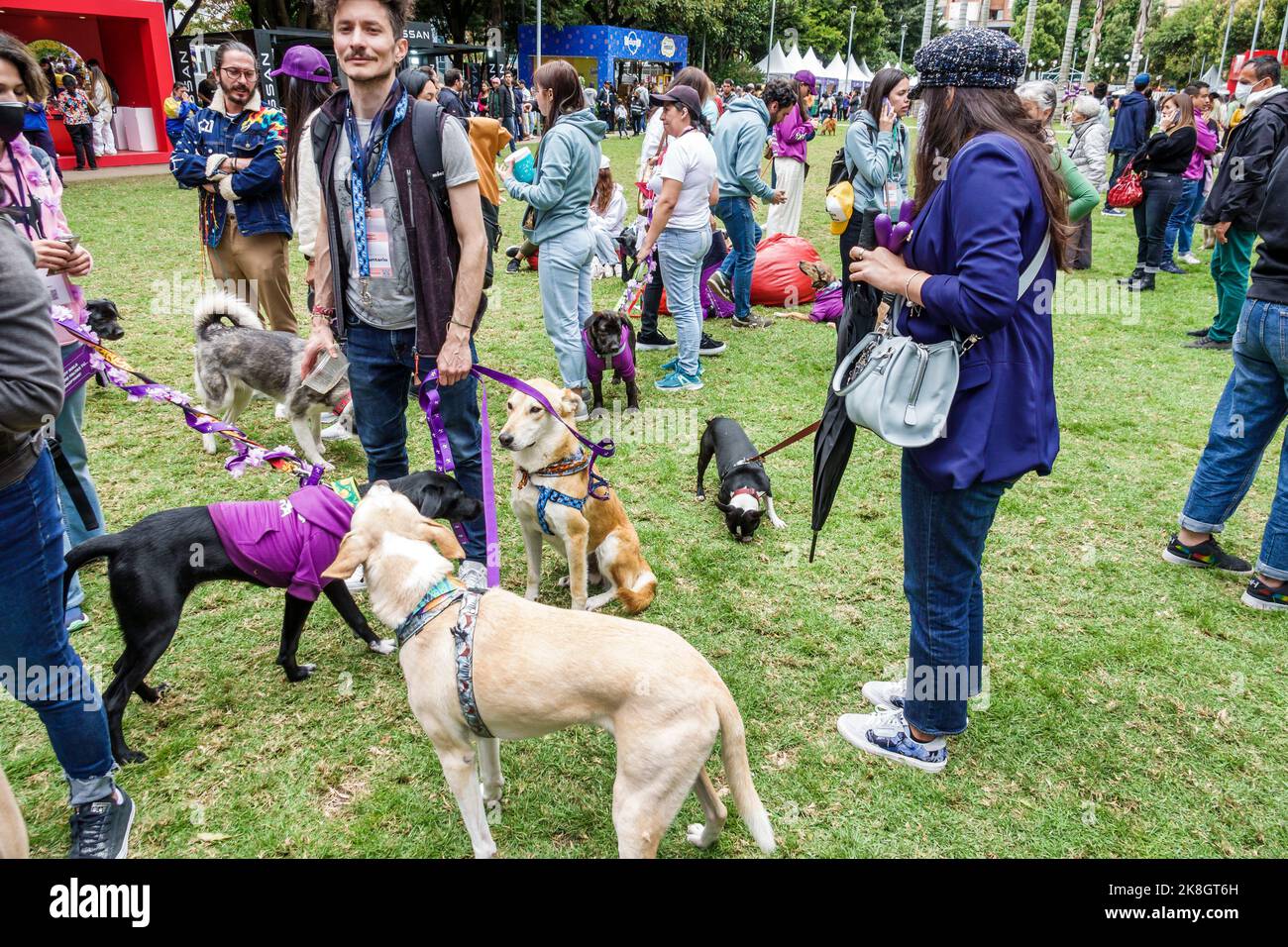 Bogota Kolumbien,El Chico Parque de la 93 Be Happy Fest,Hunde zur Adoption verfügbar Mann Männer männlich Frau Frauen weiblich,Leine Leine sozialisiert,Col Stockfoto