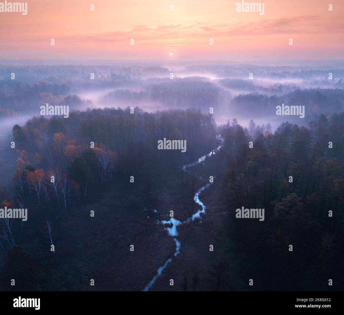 Luftaufnahme des wunderschönen Flusses und des Waldes im Nebel bei Sonnenaufgang Stockfoto