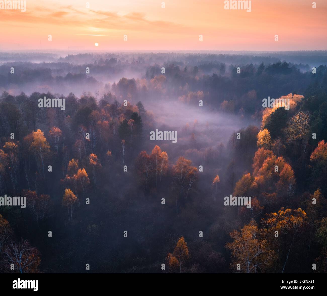 Luftaufnahme des nebligen Waldes bei farbenprächtiger Sonnenaufgangszeit im Herbst Stockfoto