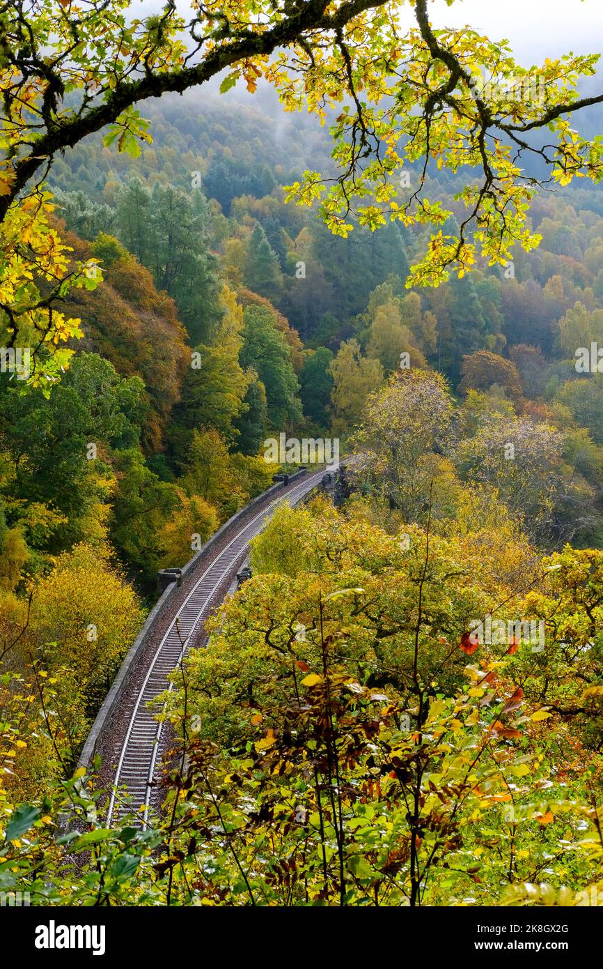 Train Tracks verschwinden im dichten schottischen Wald von Killiecrankie Stockfoto