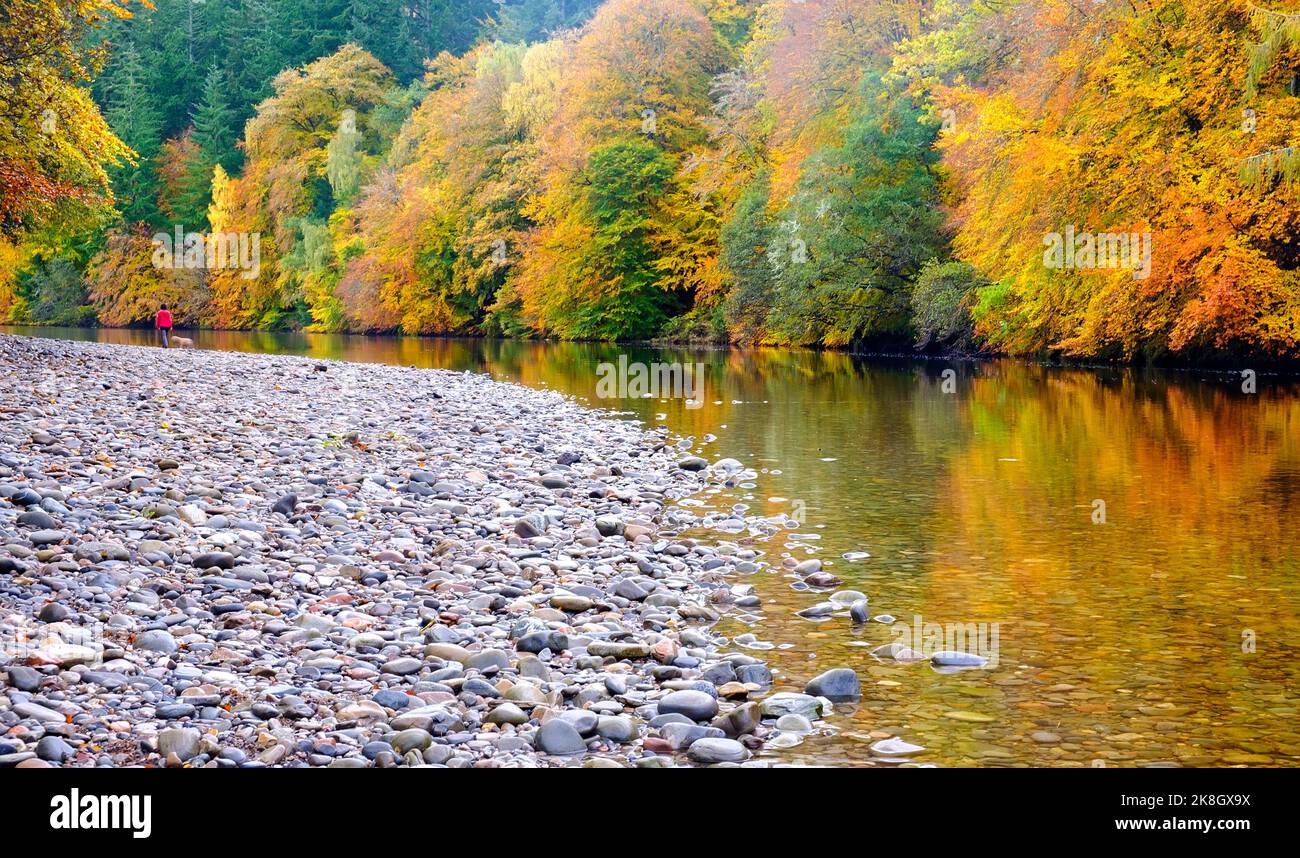 Die Schönheit von Perthshire im Herbst. Stockfoto