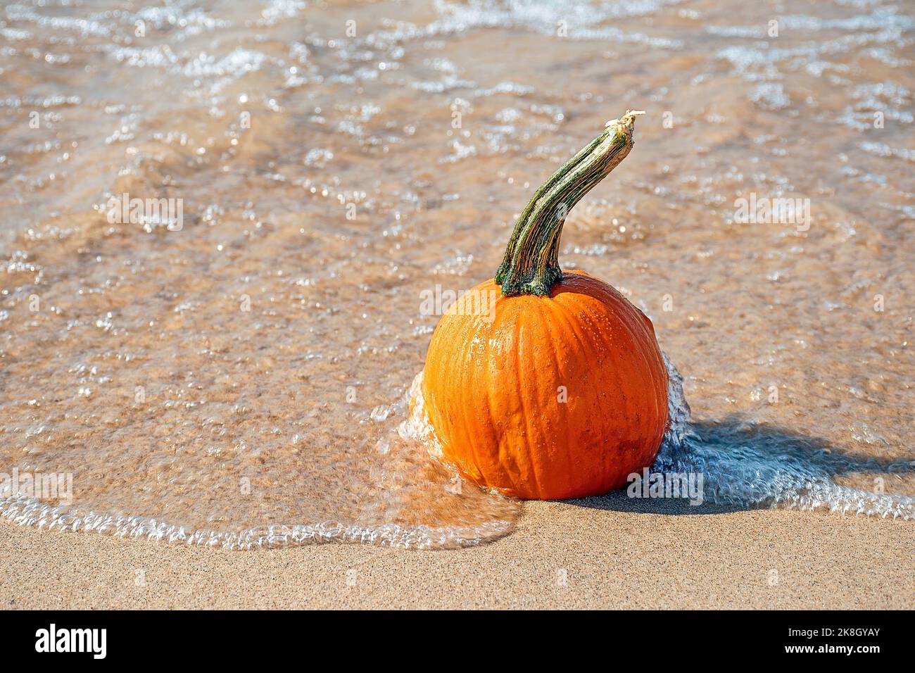Orangefarbener Herbstkürbis im Strandwasser Stockfoto