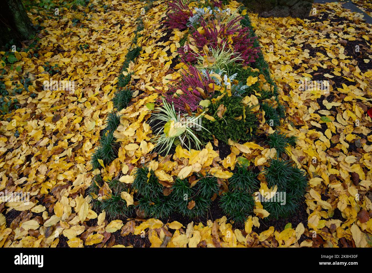 Gefallene Herbstblätter bedecken die Blumendekoration auf einem Grab Stockfoto