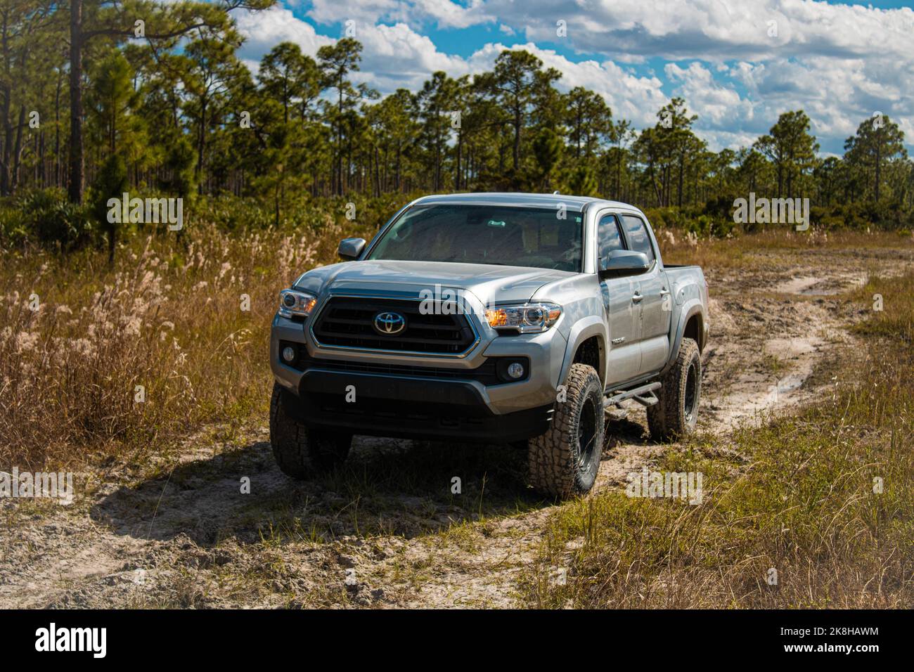 Toyota Tacoma brachte nach einem neuen Aufzug und Reifen wunderschöne Aufnahmen dieses erstaunlichen LKW in den Wald von Südflorida. Es sieht Mittel und aggressiv aus. Stockfoto