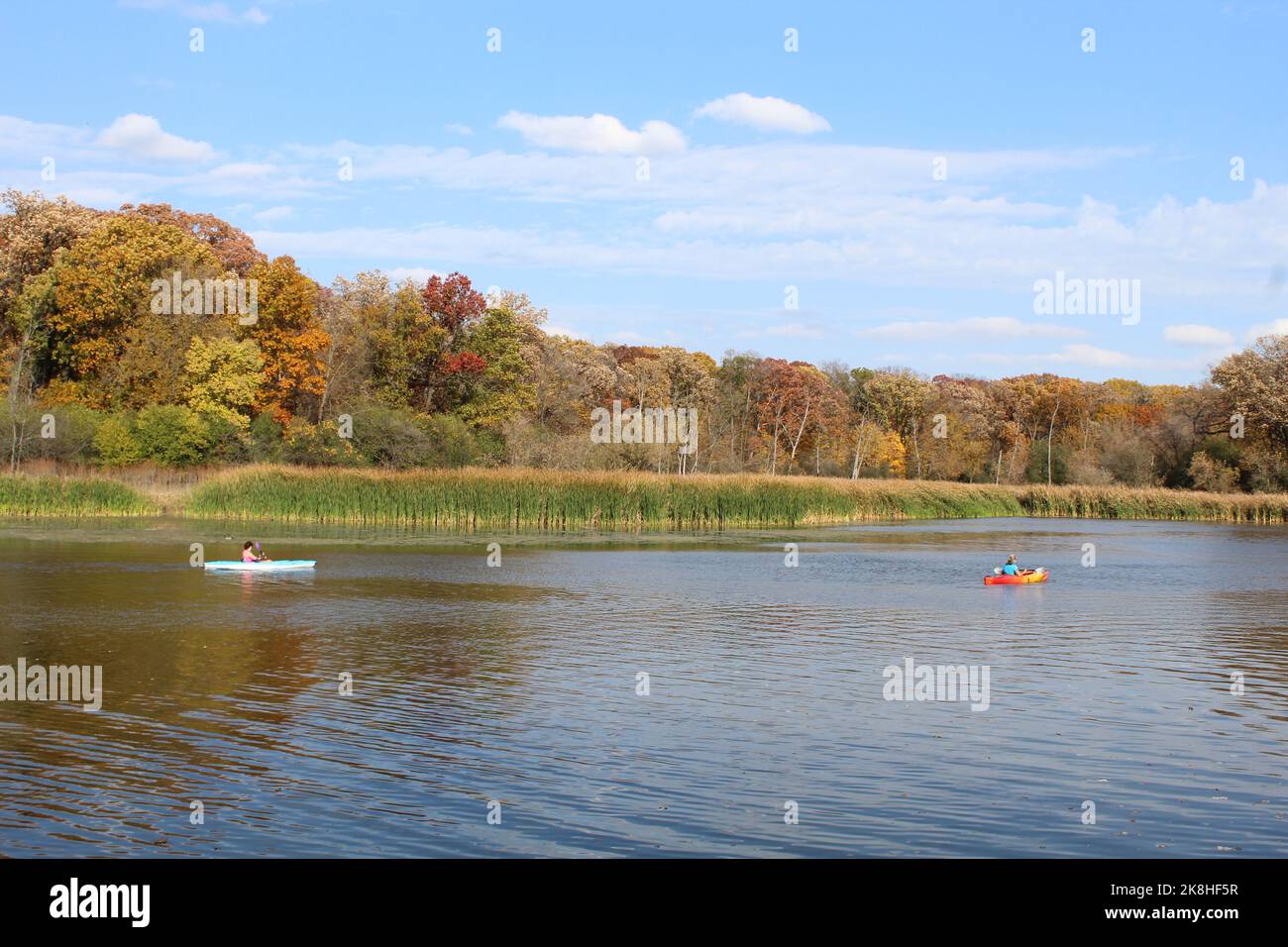 Zwei Frauen, die im Herbst am Busse Lake in Busse Woods im Elk Grove Village, Illinois, Kajakfahren Stockfoto
