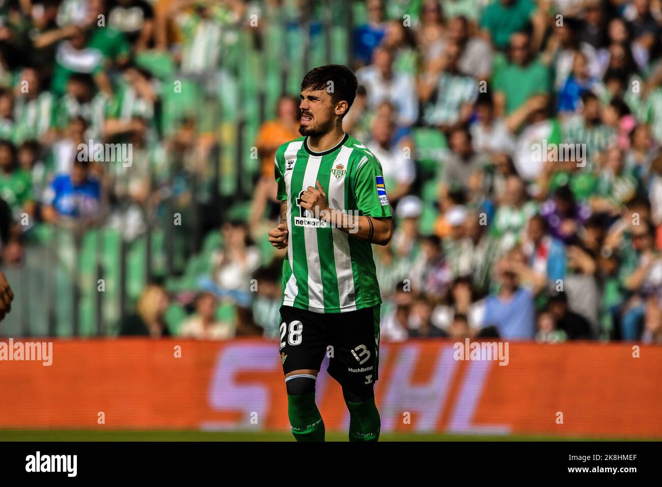 SEVILLA, SPANIEN - 23. OKTOBER: Rodri Sanchez von Real Betis Balompie während des Spiels zwischen Real Betis Balompie und Atletico de Madrid CF von La Liga Santander am 27. August 2022 in Mestalla in Valencia, Spanien. (Foto von Samuel Carreño/PxImages) Stockfoto