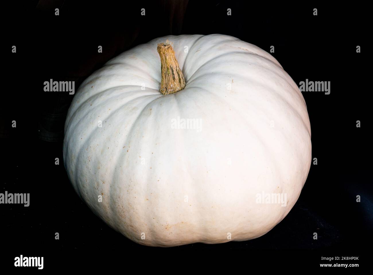 Im Herbst gibt es zahlreiche Feste mit bunten Kürbissen, Kürbissen und anderen saisonalen Produkten und Speisen. Stockfoto