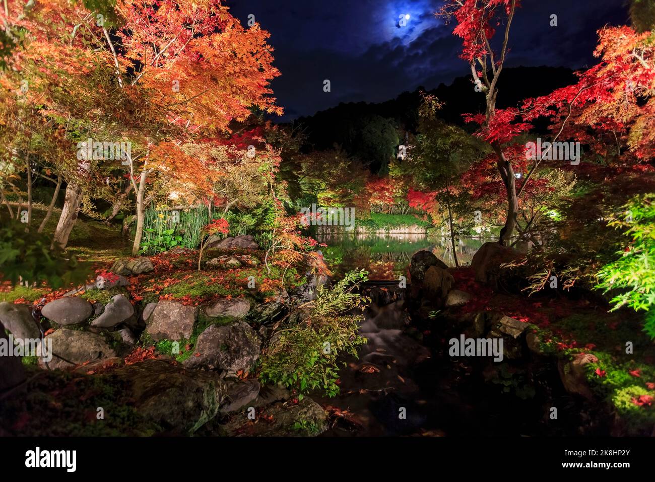 Nächtliche Herbstlandschaft im Zenrin-ji Tempel in Kyoto, Japan Stockfoto