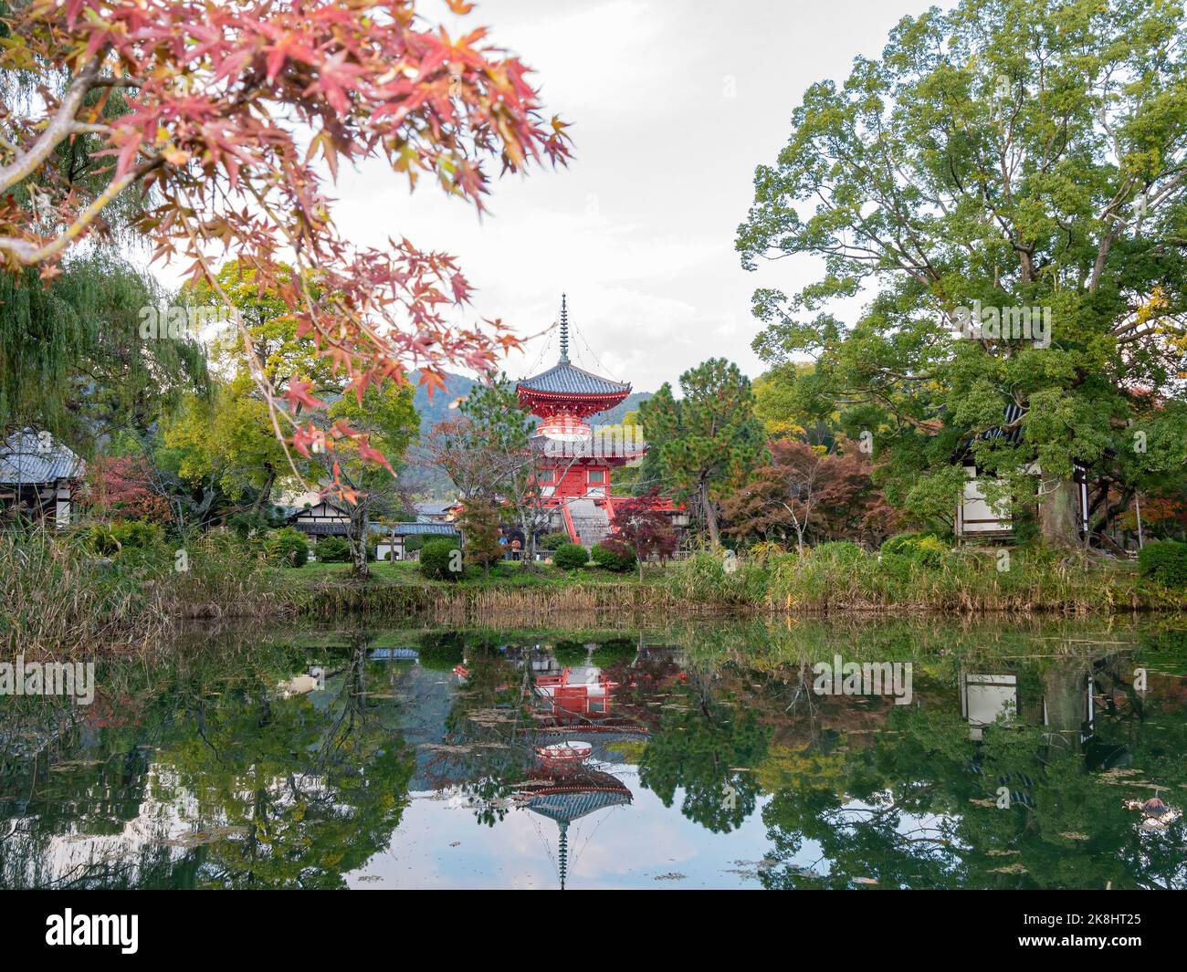 Sonniger Blick auf die Herbstfarbe und den Shingyo-Hoto Tower des Osawa Pond in Kyoto Stockfoto