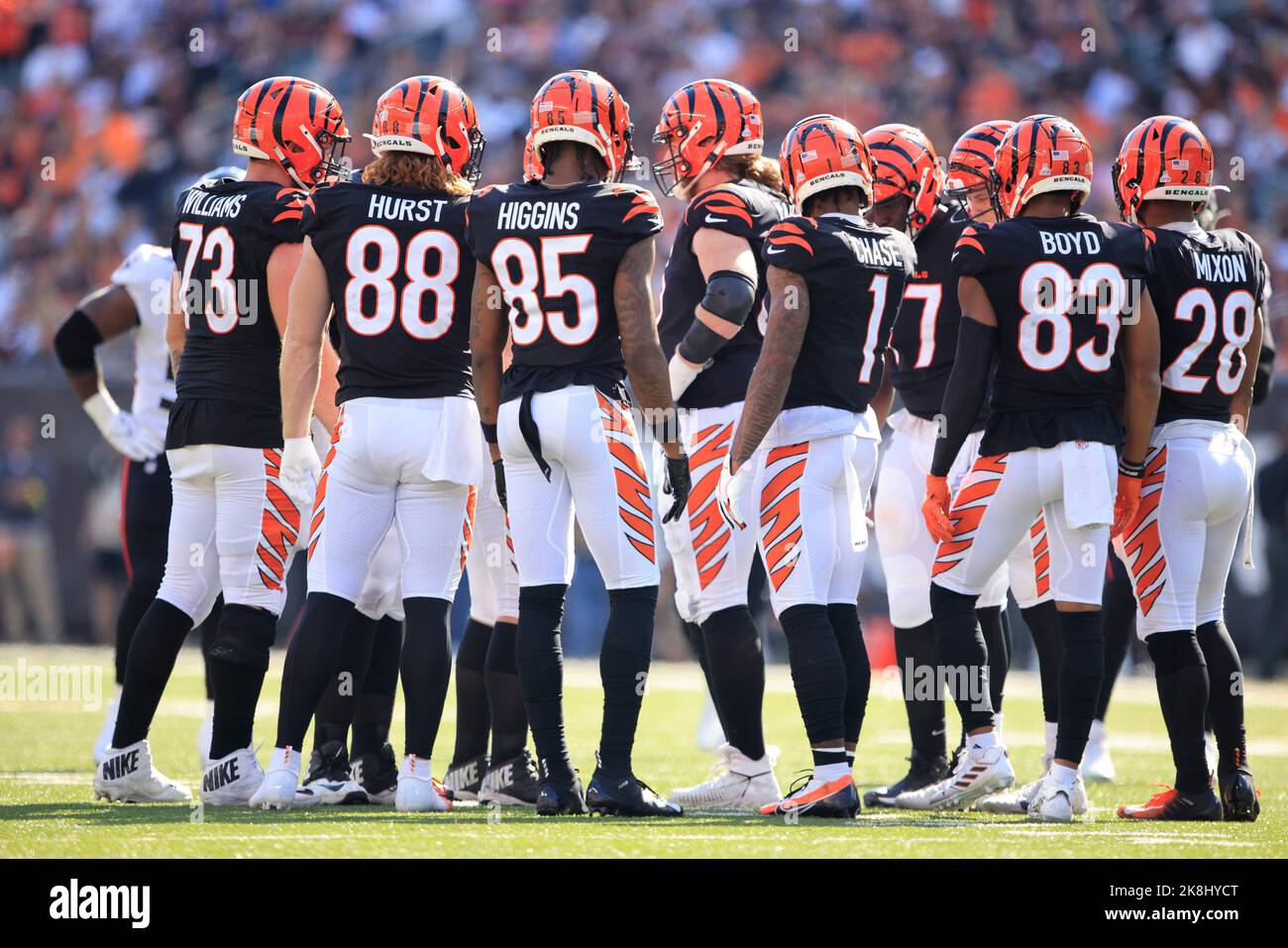 Cincinnati, Ohio, USA. 23. Oktober 2022. Cincinnati Bengals Straftat in DER 7. WOCHE der regulären NFL-Saison zwischen dem Atlanta Falcon und Cincinnati Bengals in Cincinnati, Ohio. JP Waldron/Cal Sport Media/Alamy Live News Stockfoto