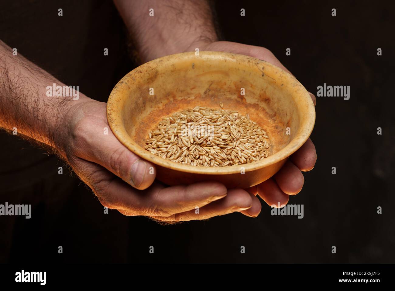 Nahaufnahme der männlichen Hände, die eine kleine Menge Weizenkerne halten. Mangel an Nahrung und Hunger-Konzept Stockfoto