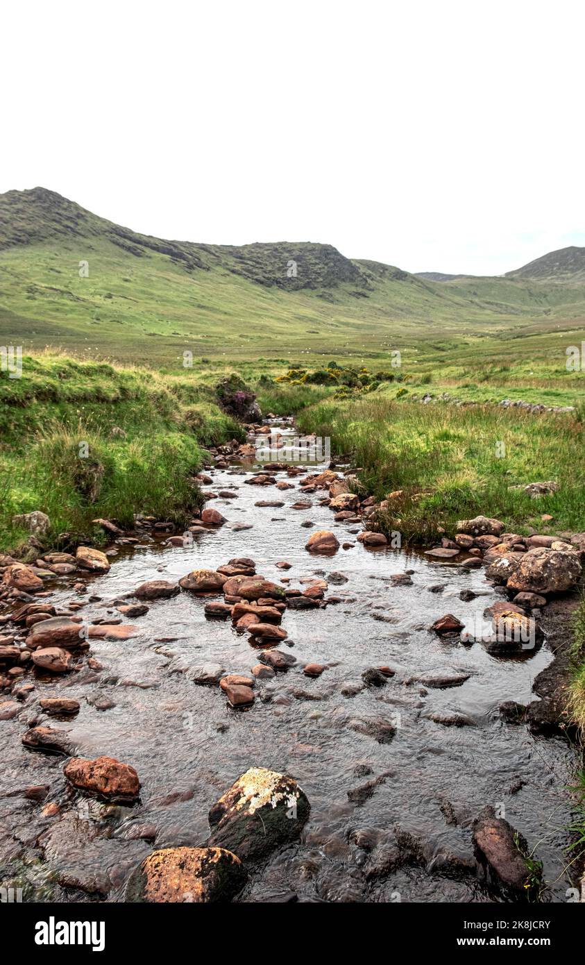 Ein Rocky Riverbed in der grünen Landschaft Irlands (mit grünen Hügeln im Hintergrund) Stockfoto