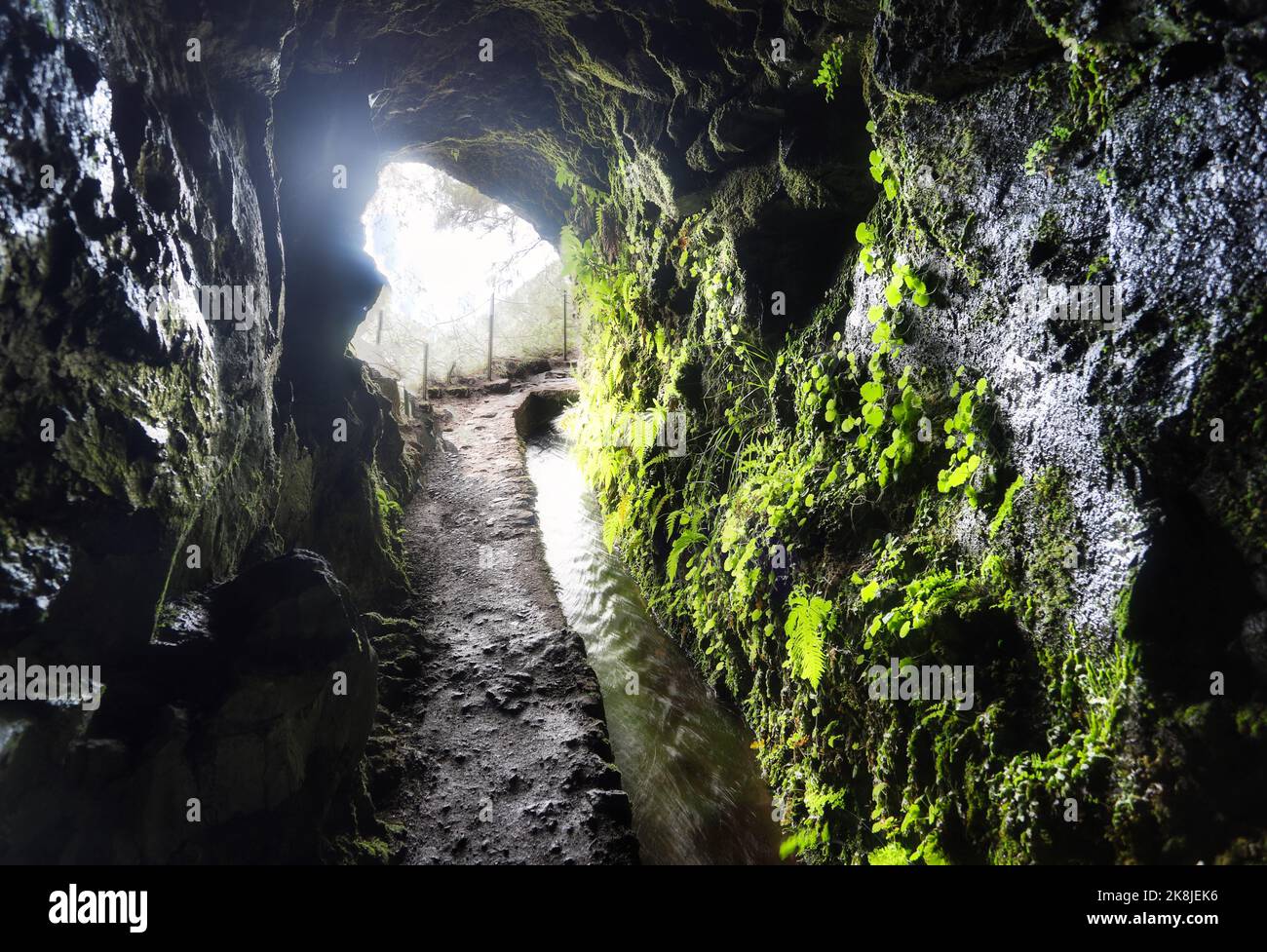Tunnel in Madeira auf Wanderpfad, Levada Caldeirao Verde Stockfoto