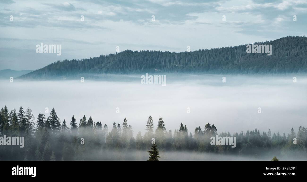 Panoramablick auf die Berge im nebligen Wald. weiten Horizont. Stockfoto