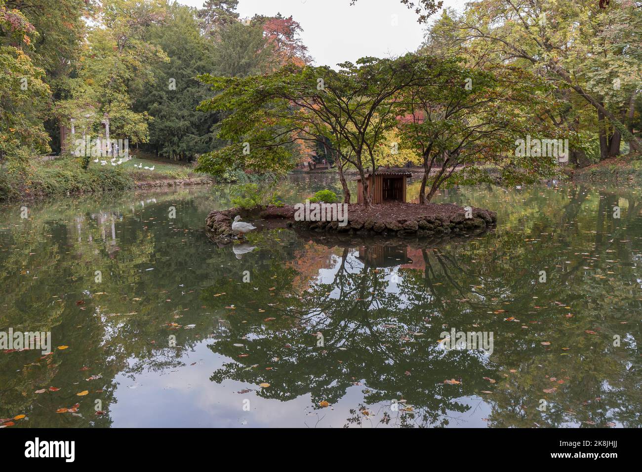 Parco di Monza im Herbst, Blick auf die Straße des Parks während der Herbstsaison sind Laubfarben sichtbar. Stockfoto