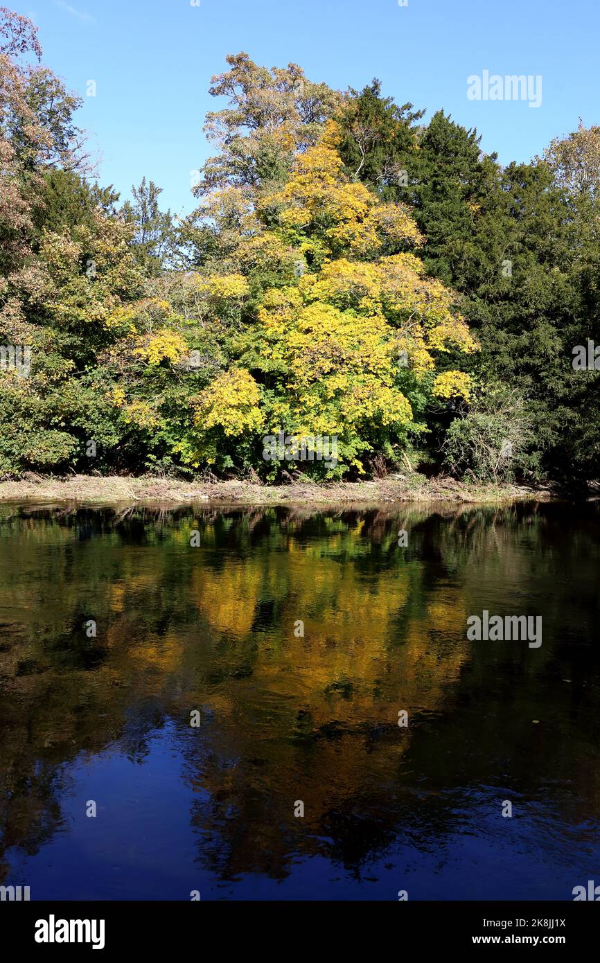 Stilles Wasser reflektiert herbstliche Farben. Stockfoto