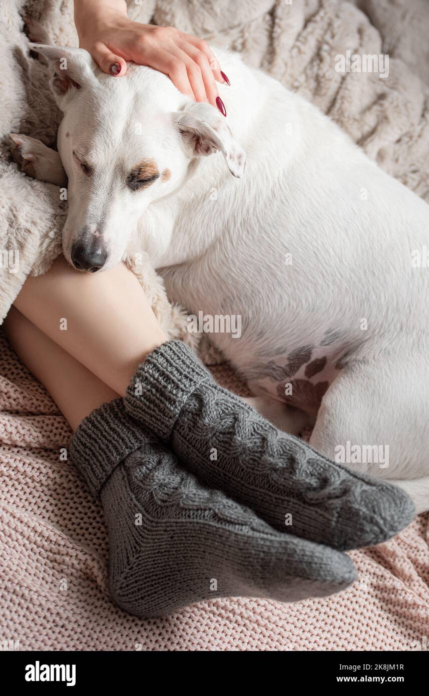 Beine eines jungen Mädchens in gemütlichen Stricksocken. Weibliche Beine in warmen Socken auf