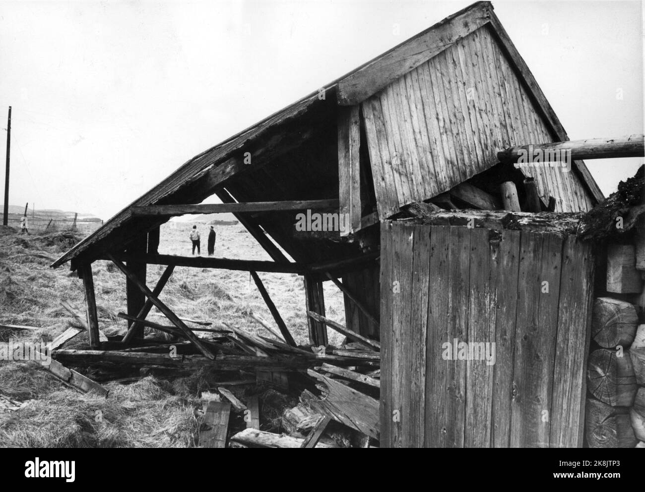 1964. Umzug. Hjelmsøy in der Gemeinde Herøy. Die Häuser sind verlassen und vergehen, nachdem die Bewohner von dem Gelände umgezogen sind. Umsetzung / Entvölkerung zerstörte Gebäude. Foto: Sverre A. Børretzen / Aktuell / NTB Stockfoto