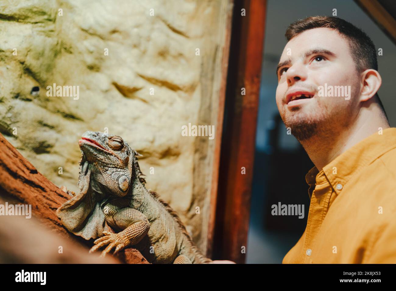Hausmeister mit Down-Syndrom kümmert sich um Tiere im Zoo, streichelte Leguan. Konzept der Integration von Menschen mit Behinderungen in die Gesellschaft. Stockfoto