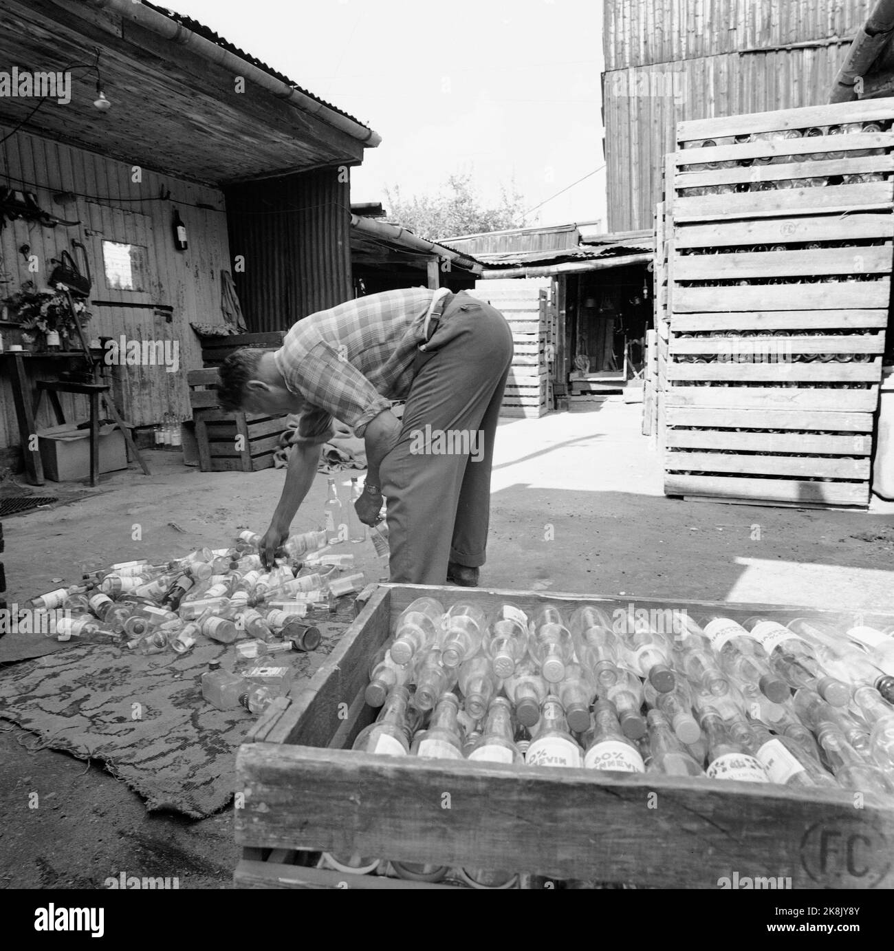 Oslo der 1966. Mai in Rodeløkka ist seit 150 Jahren mehr oder weniger ruhig. Die alten Häuser sind sowohl wackelig als auch krumm und vom Verfall gekennzeichnet, aber die Menschen gedeihen und werden sich nicht bewegen oder modernisieren. Gelegentlich sind die Wohnungen überreich an kleinen Unternehmen. Der Schrotthändler Oskar Korneliussen dreht monatlich 10.000 leere Alkoholflaschen, die aus der ganzen Stadt gesammelt werden. Foto: Storløkken / Aktuell / NTB Stockfoto