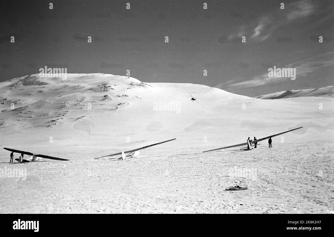 Eidsbugarden, Jotunheimen, 6. Mai 1961. Fünf Segelflugzeuge genießen sich in der Bergwelt. Zwei von ihnen landen auf dem Uranos-Gletscher, als die ersten Segelflugzeuge jemals auf einem Gletscher landeten. Als erster landet der dänische Möbelpolsterer Robert Nielsen aus Silkeborg. Der Norweger Bakkasserer, Bjarne Bergsund landet auf Platz 2. Die Segelflugzeuge warten darauf, hochgezogen zu werden. Foto; Ivar Aaserud / NTB Stockfoto
